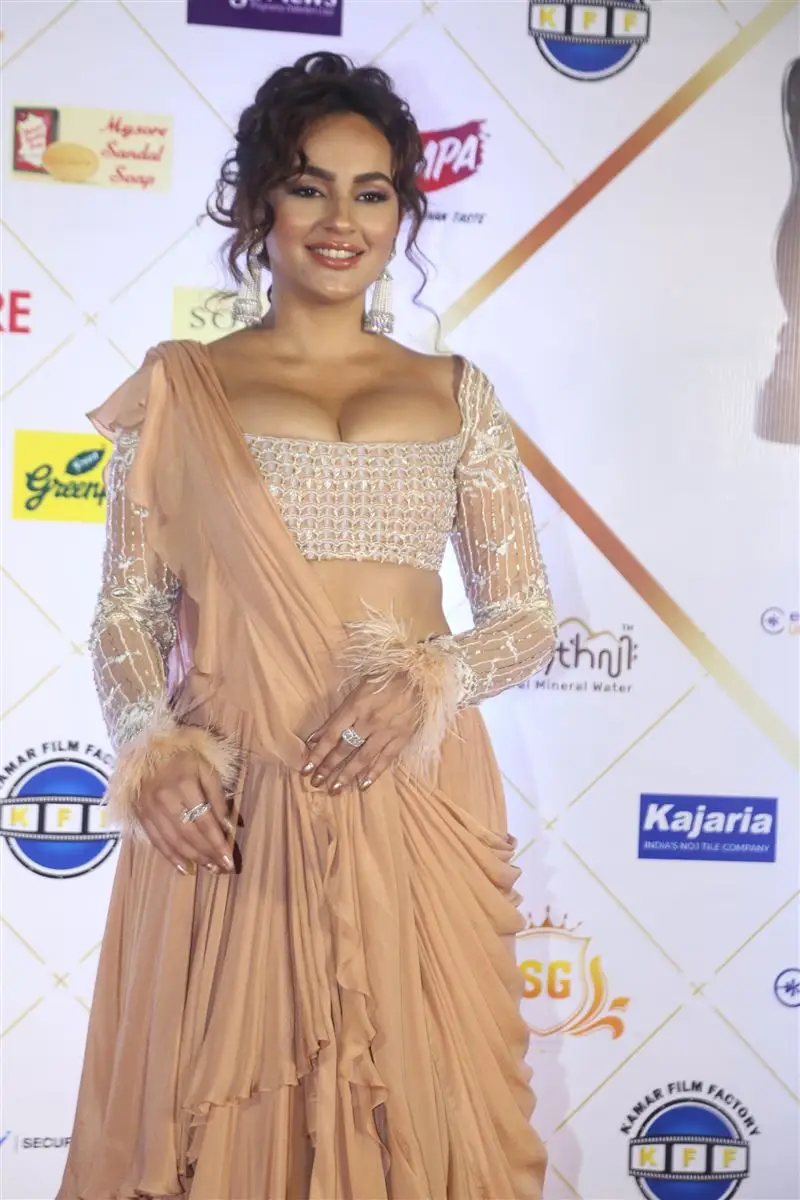 Tollywood Celebraties at Filmfare Awards South 2024 Red Carpet